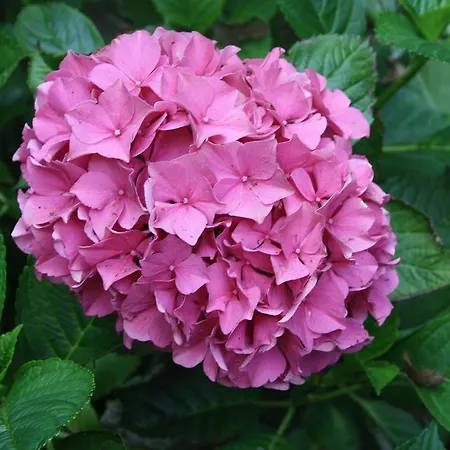 De Zuwe - Loosdrecht Feriehus