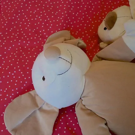 Ferienhaus De Zuwe - Loosdrecht