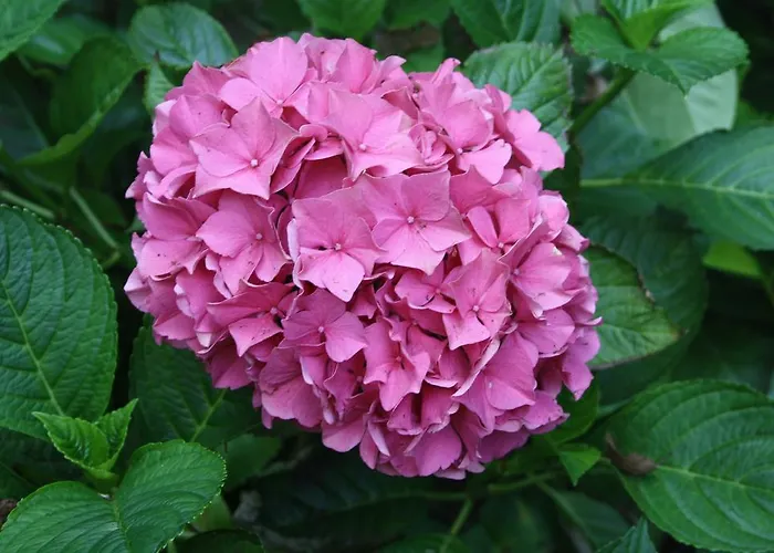 De Zuwe - Loosdrecht Сasa de vacaciones